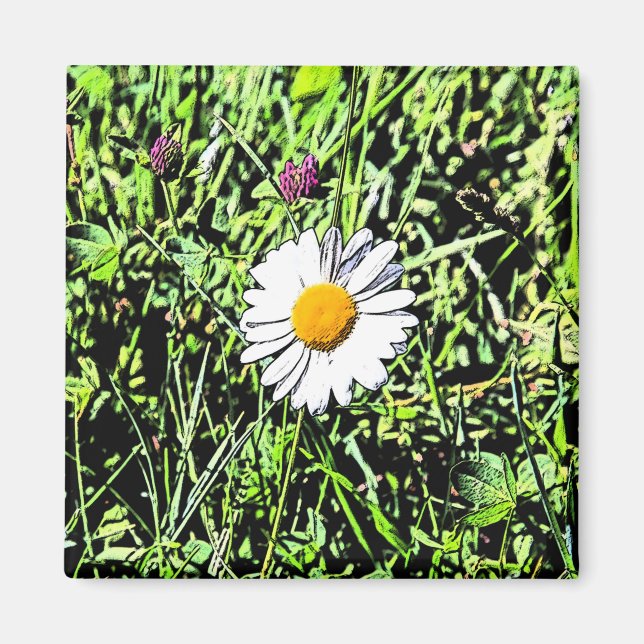 Imán Daisy (Frente)
