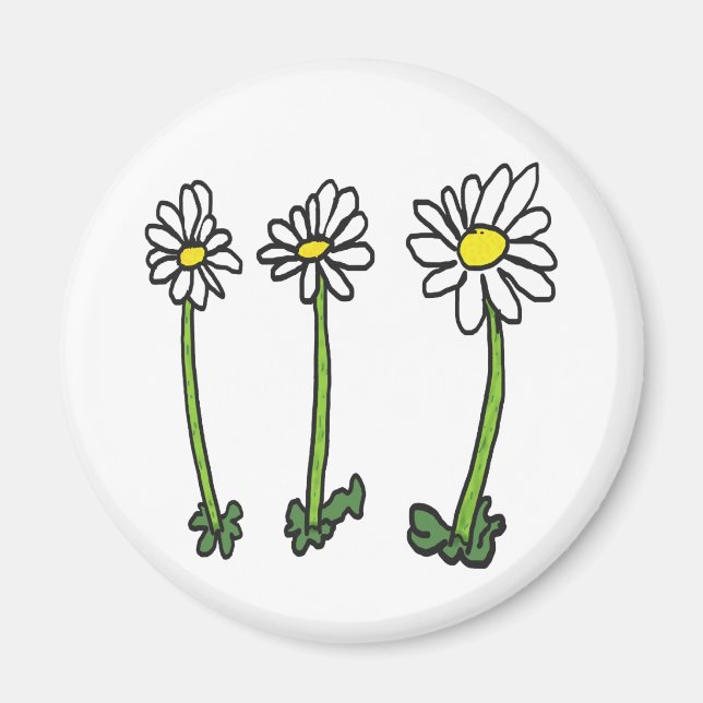 Imán Daisy (Frente)