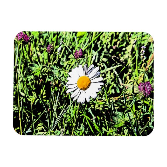 Imán Daisy (Horizontal)