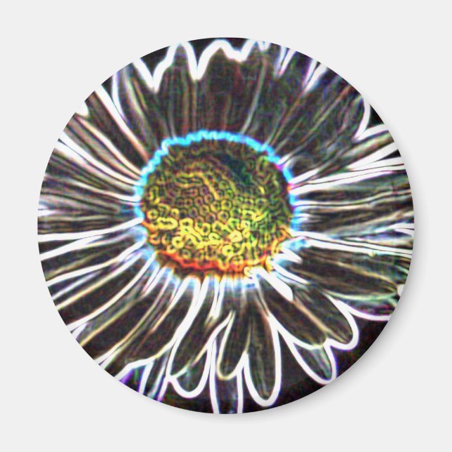 Imán Daisy 1 Glow,Magnet (Frente)