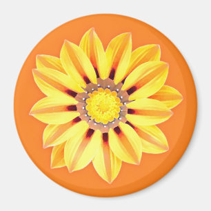 Imán Daisy africano / Gazania - Naranja y amarillo