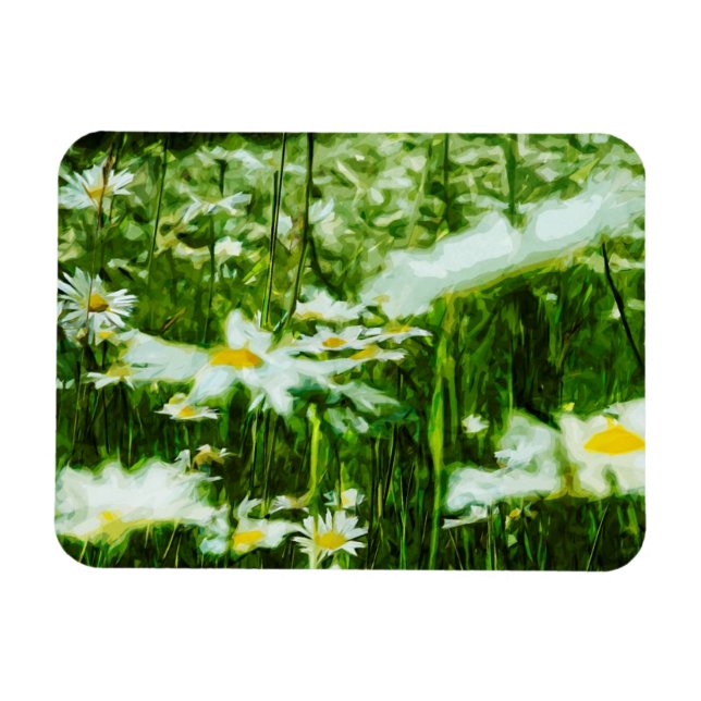 Imán Daisy de Oxeye blanco Abstract Floral (Horizontal)
