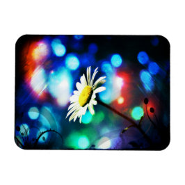 Imán Daisy en luces esparcen