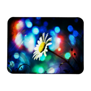 Imán Daisy en luces esparcen
