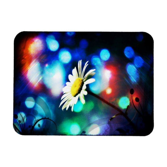 Imán Daisy en luces esparcen (Horizontal)