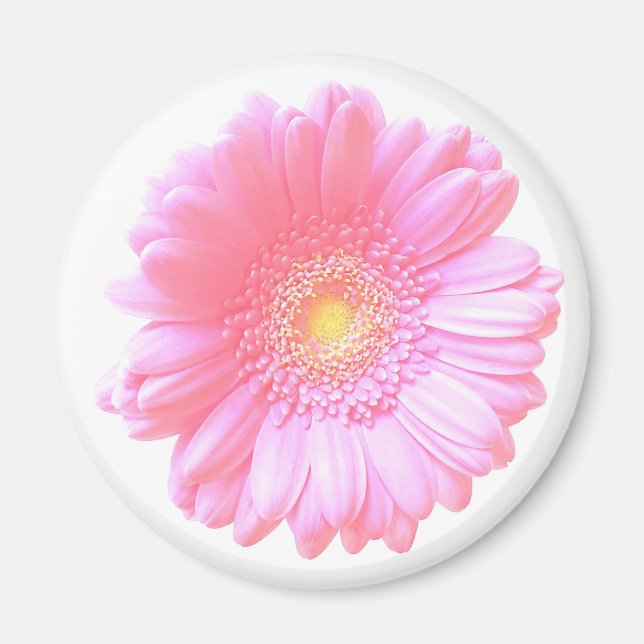 Imán Daisy gerbera rosa claro (Frente)
