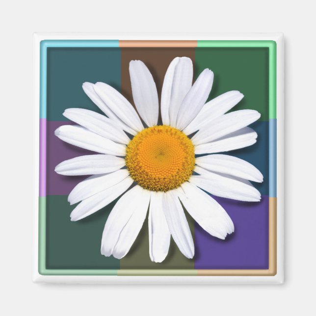 Imán Daisy imnet (Frente)