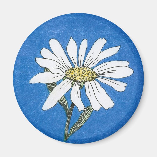 Imán Daisy Magnet (Frente)