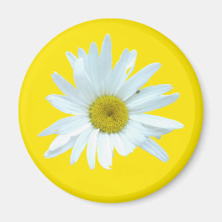 Imán Daisy Magnet