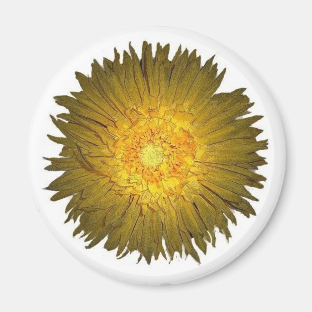Imán Daisy Magnet (Frente)