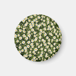 Imán Daisy Meadow Magnet