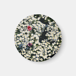 Imán Daisy Meadow Magnet