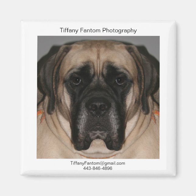 Imán Daisy Promo (Frente)