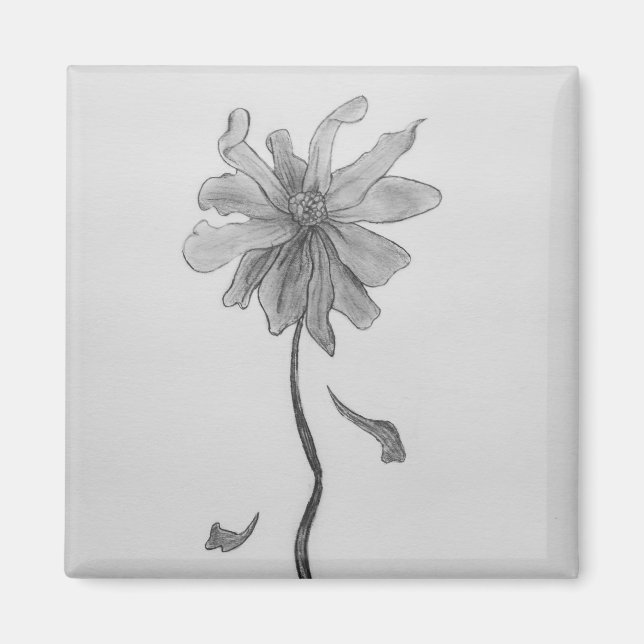 Imán Daisy simple (Frente)
