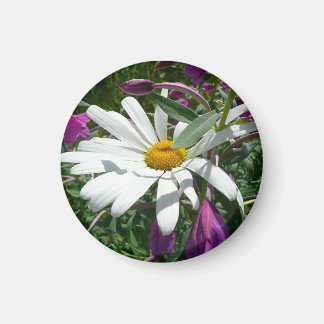 Imán Daisy y Fireweed Wildflower