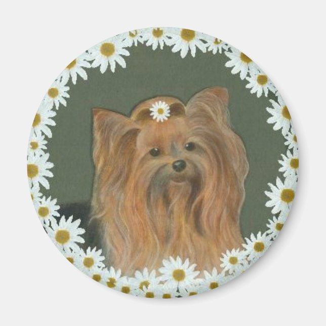 Imán Daisy Yorkie Round Magnet (Frente)