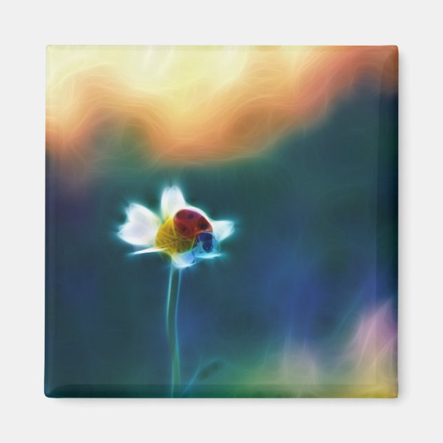 Imán Daisybug (Frente)