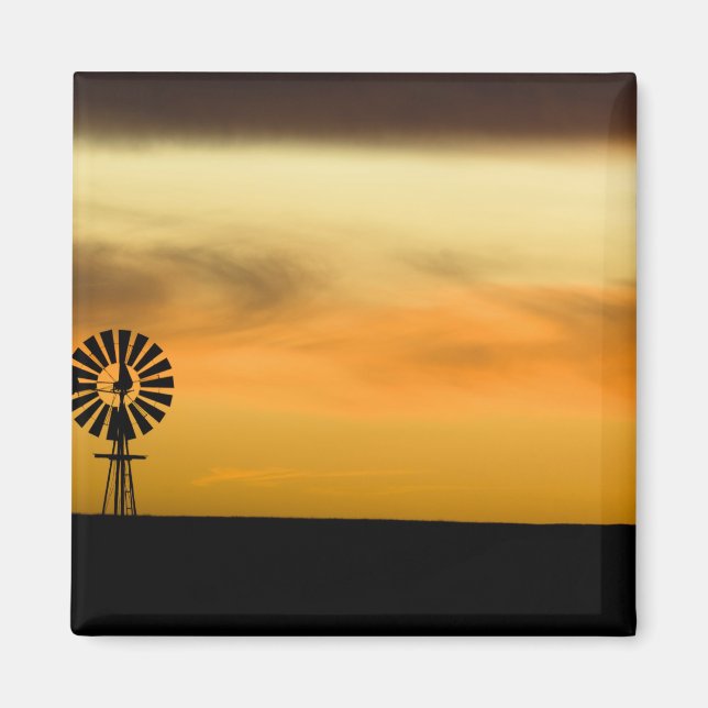 Imán Dakota del Sur, Estados Unidos. (Frente)