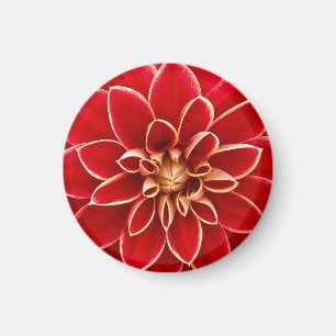 Imán Dalia Rojo Brillante