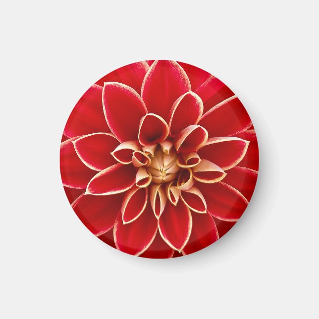 Imán Dalia Rojo Brillante (Frente)