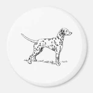 Imán Dalmatian