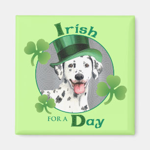 Imán Dalmatian del día de St Patrick
