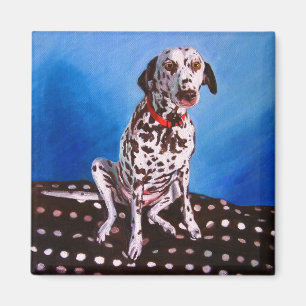 Imán Dalmatian en el amortiguador manchado 2011