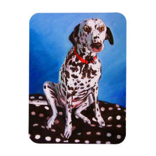 Imán Dalmatian en el amortiguador manchado 2011