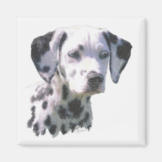 Imán Dalmatian Puppy (Frente)