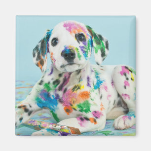 Imán Dalmatian Puppy