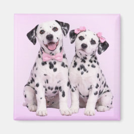 Imán Dalmatian Puppy Love – Valentine Dog Couple Magnet