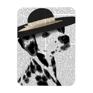 Imán Dalmatian y el Gorra negro brimado