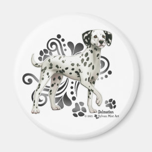Imán Dalmatiano