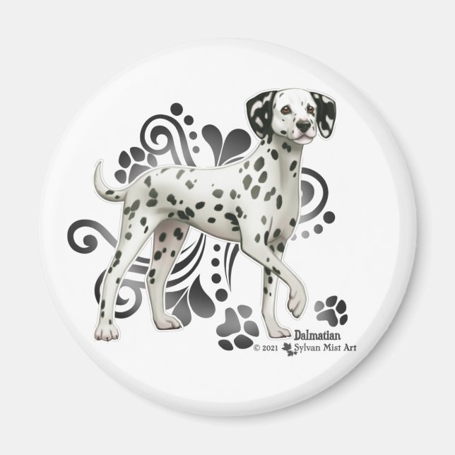 Imán Dalmatiano (Frente)