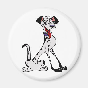 Imán Dalmatiano
