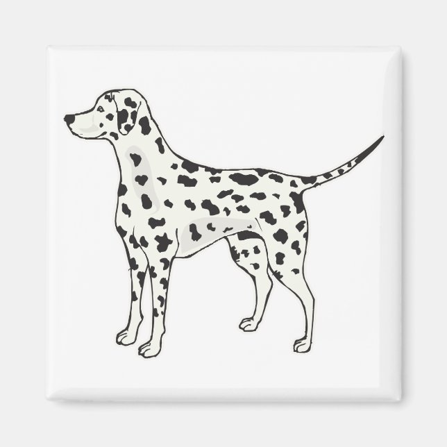 Imán Dalmatiano (Frente)