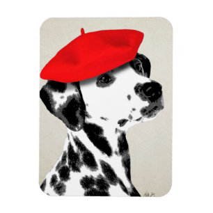 Imán Dalmatiano con Beret Rojo