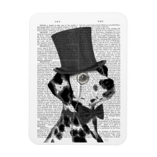 Imán Dalmatiano, Gorra y hedor formal