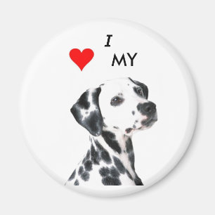 Imán dalmation1, VBRSMCA27ZNVGCAQG0F1BCAMZLQ8CCA0X9H…