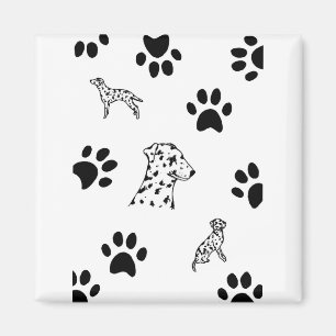 Imán Dalmation puppies paws