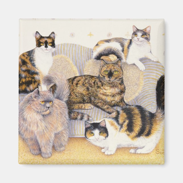 Imán damas de Tortoisse (Frente)