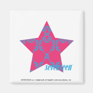 Imán Damasco Aqua-Magenta 2