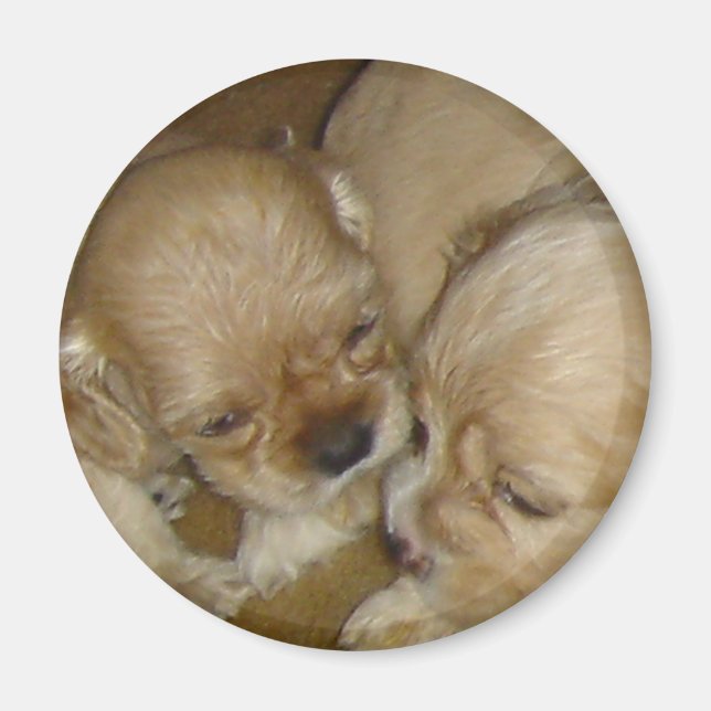 Imán Dame un beso (Frente)