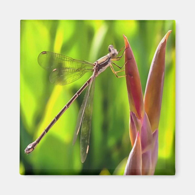 Imán Damselfly Balanceado En Cabeza De Flor (Frente)