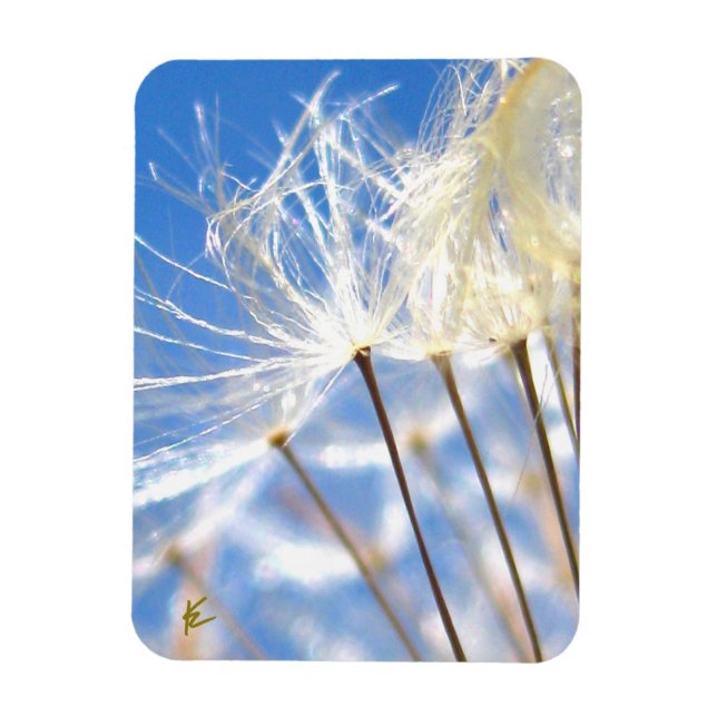 Imán Dancing Dandelion Poof, Happy, Joyful, Nature (Vertical)