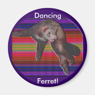 Imán Dancing Ferret Magnet