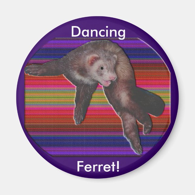 Imán Dancing Ferret Magnet (Frente)