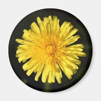 Imán Dandelion