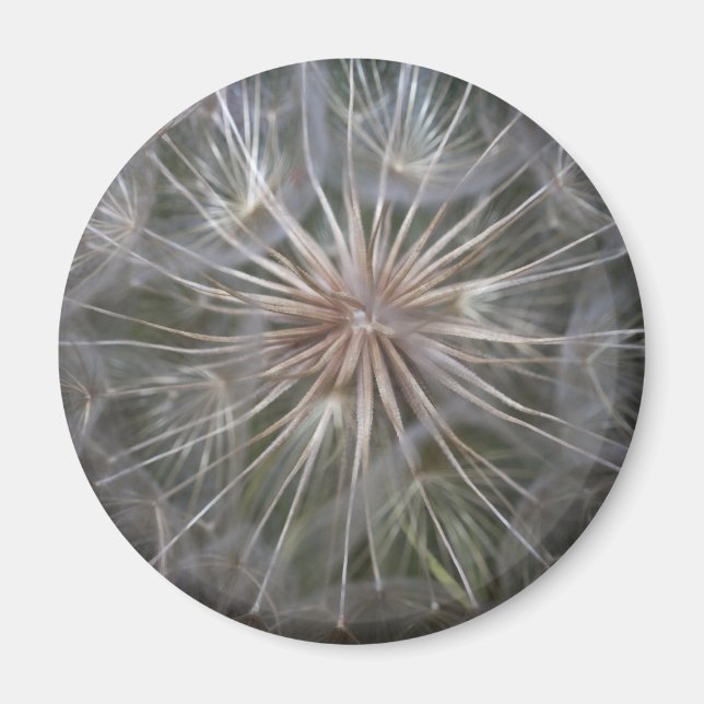 Imán Dandelion (Frente)