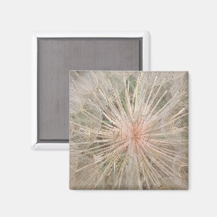 Imán Dandelion Close Up Magnet